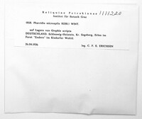 Image Associated With the Occurence